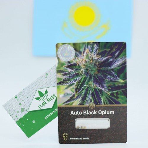 Купить стакан травы Auto Black Opium