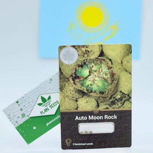 Купить стакан травы Auto Moon Rock