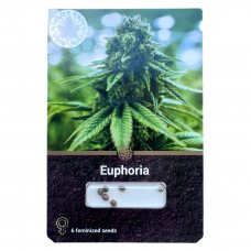 Euphoria